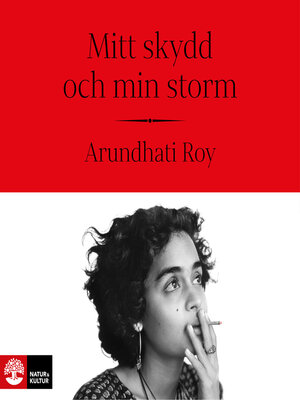 cover image of Mitt skydd och min storm